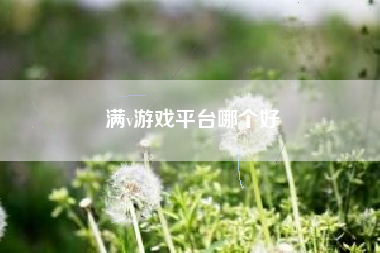 满v游戏平台哪个好