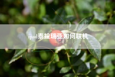 ipad泰拉瑞亚如何联机