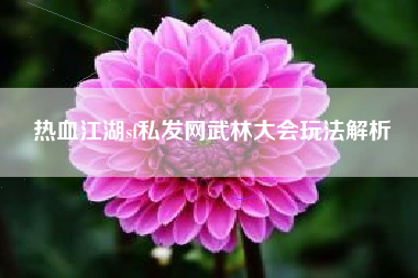 热血江湖sf私发网武林大会玩法解析