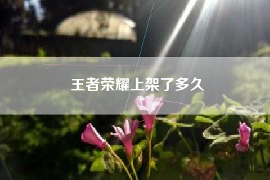王者荣耀上架了多久