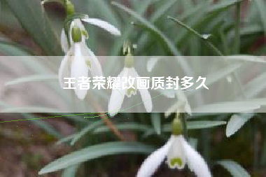 王者荣耀改画质封多久