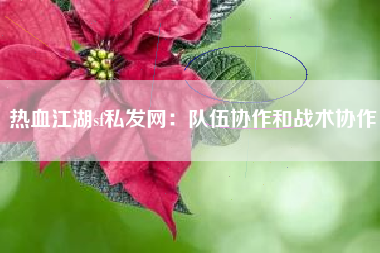 热血江湖sf私发网：队伍协作和战术协作