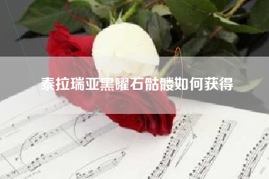 泰拉瑞亚黑曜石骷髅如何获得