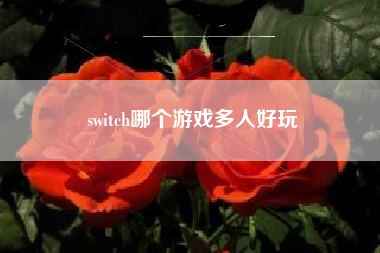 switch哪个游戏多人好玩