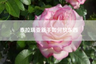 泰拉瑞亚新手如何放东西