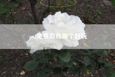 ps4免费游戏哪个好玩