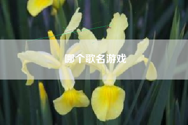 哪个歌名游戏