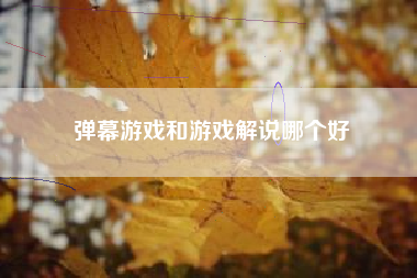 弹幕游戏和游戏解说哪个好