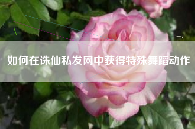 如何在诛仙私发网中获得特殊舞蹈动作