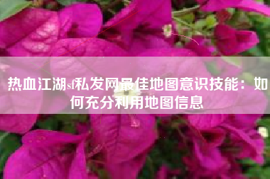 热血江湖sf私发网最佳地图意识技能：如何充分利用地图信息
