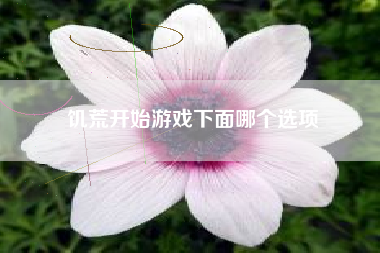 饥荒开始游戏下面哪个选项
