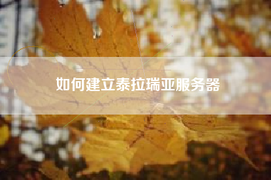 如何建立泰拉瑞亚服务器
