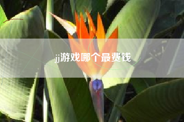 jj游戏哪个最费钱