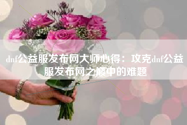 dnf公益服发布网大师心得：攻克dnf公益服发布网之巅中的难题