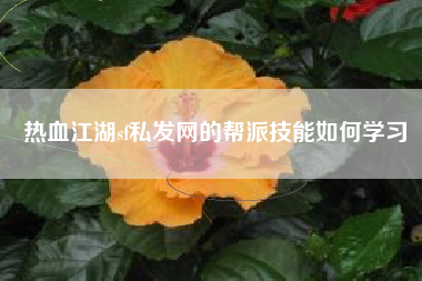 热血江湖sf私发网的帮派技能如何学习