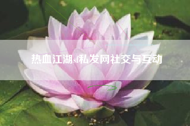 热血江湖sf私发网社交与互动