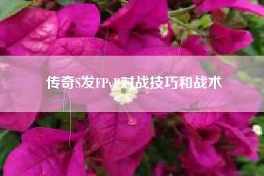 传奇S发FPvP对战技巧和战术