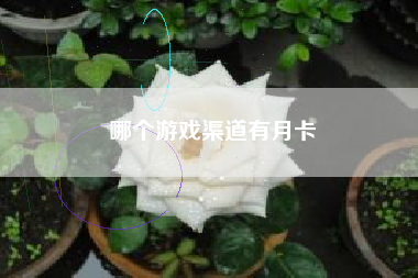 哪个游戏渠道有月卡