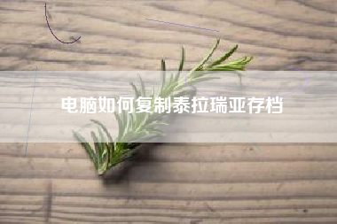电脑如何复制泰拉瑞亚存档