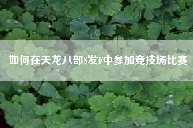 如何在天龙八部S发F中参加竞技场比赛