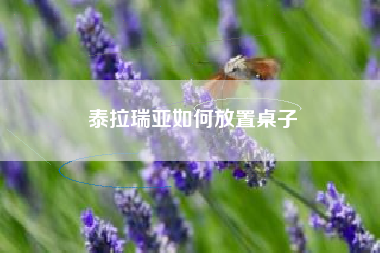 泰拉瑞亚如何放置桌子