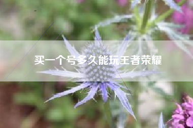 买一个号多久能玩王者荣耀