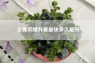 王者荣耀升星最快多久能升