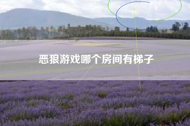 恶狼游戏哪个房间有梯子