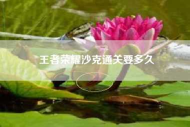王者荣耀沙克通关要多久