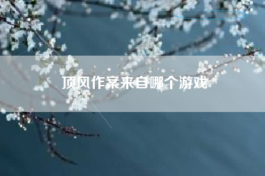 顶风作案来自哪个游戏