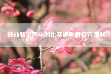 诛仙私发网中的比赛规则解析有哪些