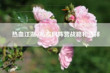 热血江湖sf私发网阵营战略和选择
