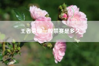 王者荣耀一般禁赛是多久