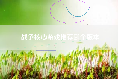 战争核心游戏推荐哪个版本