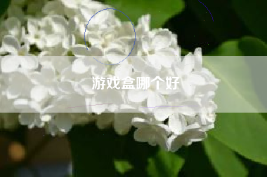 游戏盒哪个好