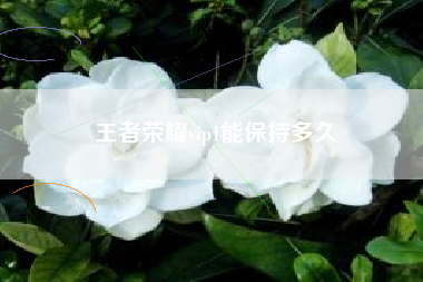王者荣耀vip1能保持多久