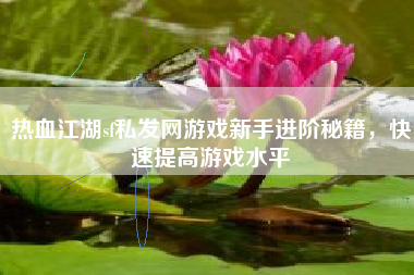 热血江湖sf私发网游戏新手进阶秘籍，快速提高游戏水平