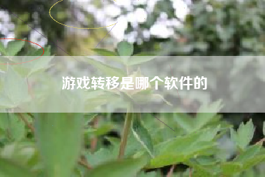 游戏转移是哪个软件的