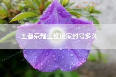 王者荣耀三位玩家封号多久