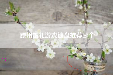 滕州婚礼游戏键盘推荐哪个