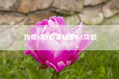 传奇S发F新手玩家PvE攻略