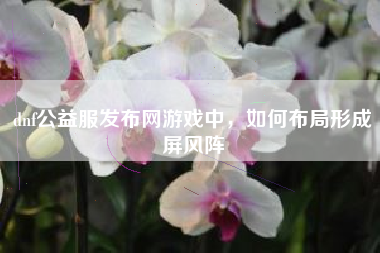 dnf公益服发布网游戏中，如何布局形成屏风阵