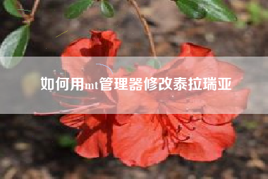 如何用mt管理器修改泰拉瑞亚