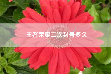王者荣耀二次封号多久