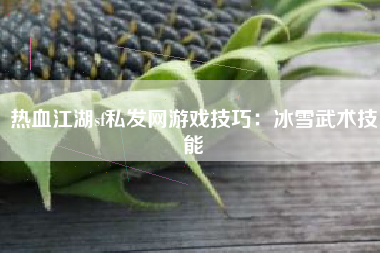 热血江湖sf私发网游戏技巧：冰雪武术技能