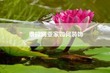 泰拉瑞亚家如何装饰
