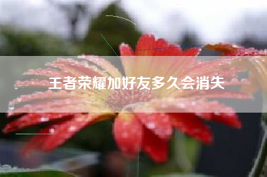王者荣耀加好友多久会消失