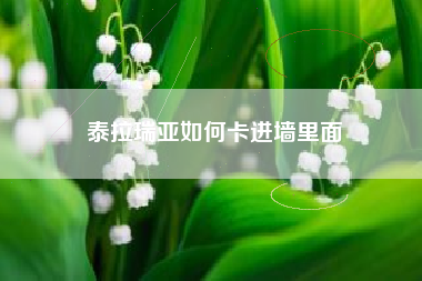 泰拉瑞亚如何卡进墙里面