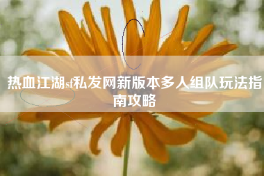 热血江湖sf私发网新版本多人组队玩法指南攻略