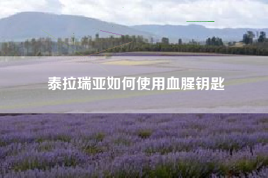泰拉瑞亚如何使用血腥钥匙